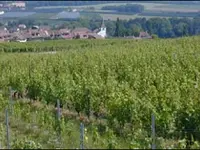 Cave du Vieux-Coteau Sàrl