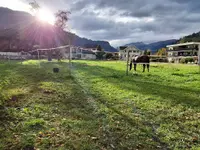 SUN RANCH Organisation