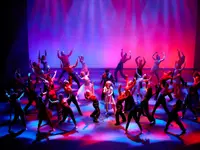 Verein TDC dance company & school