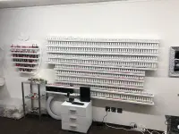 American Nails Tran