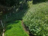 Giardiniere Hagmann Di Carlo e Pichierri SAGL