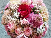 Les fleurs de sakura