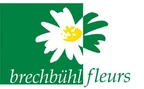 Brechbühl Fleurs