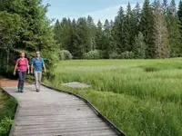 Les CJ-Chemins de fer du Jura- - Klicken Sie, um das Bild 5 in einer Lightbox vergrössert darzustellen