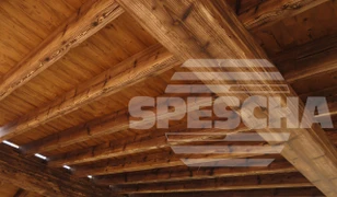 Spescha Holzbau AG