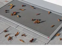 PBI Insektenschutz, Patrik Brunner