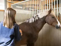 Manège et Poney Club de Presinge - Klicken Sie, um das Bild 9 in einer Lightbox vergrössert darzustellen