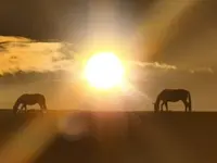 Equi Pi