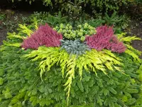 MM Gartenpflege GmbH