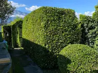 Jardibois