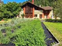 Absinthe La Valote Martin Sàrl