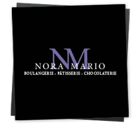 Nora Mario Piccina-Logo