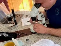 Gregor Buser Dienstleistungen