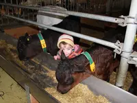 Ferme des Trontières Randogne