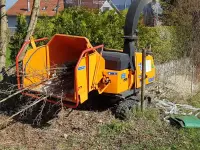 BRÜHWILER-GARTENBAU, BAUMPFLEGE