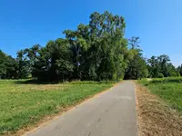 Colibri