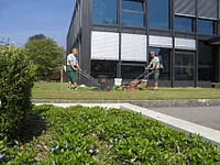 David Gartenbau AG