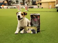 Studio Veterinario Ghiringhelli