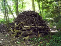 Les Artisans de L'Arbre Sarl