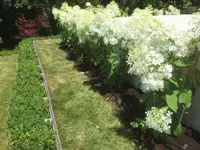 Royal Jardin sarl