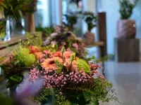 Schneebeli Blumen & Garten