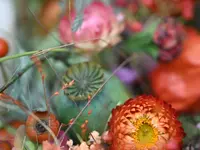 Blumen Gardyland