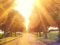 Psychologische Beratung