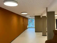 Veseli Gipser Maler AG