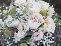 Blumen Röthlin