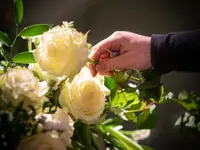 ARTEFAKT Blumen GmbH