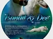 Studio Veterinario Ghiringhelli