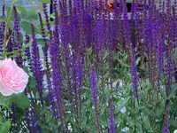Raduner Gartenbau AG