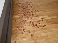 SVclean Sàrl