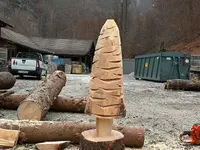 ONSFOREST Sagl