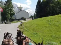 Clalüna-Sils Kutschenfahrten - Klicken Sie, um das Bild 12 in einer Lightbox vergrössert darzustellen