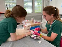 Katzen-Praxis.ch