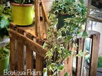 Boutique Fleurs Bernex