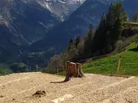 Garten Ideal GmbH