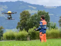 Domeisen Lukas AG