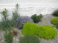 Rüegg AG Garten- und Landschaftsbau