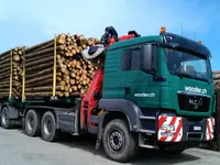 Woodex AG
