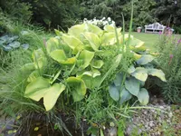 Willener Urs Gartenbau AG