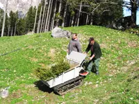 INFOREST GmbH