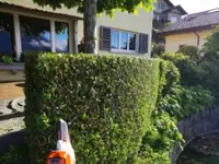 ZenGarden by Rothenbühler