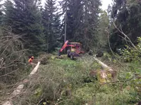 Entreprise forestière Sauser SA