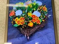 Blumen Petermann - Klicken Sie, um das Bild 7 in einer Lightbox vergrössert darzustellen