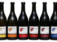 Weinbau Cordula Morgenegg-Posch