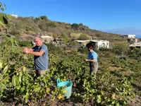 La Bottega Secondo Natura di Olivone