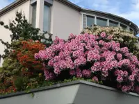Strickler Blumen & Gärten AG