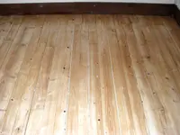 Dino Parquet Peinture